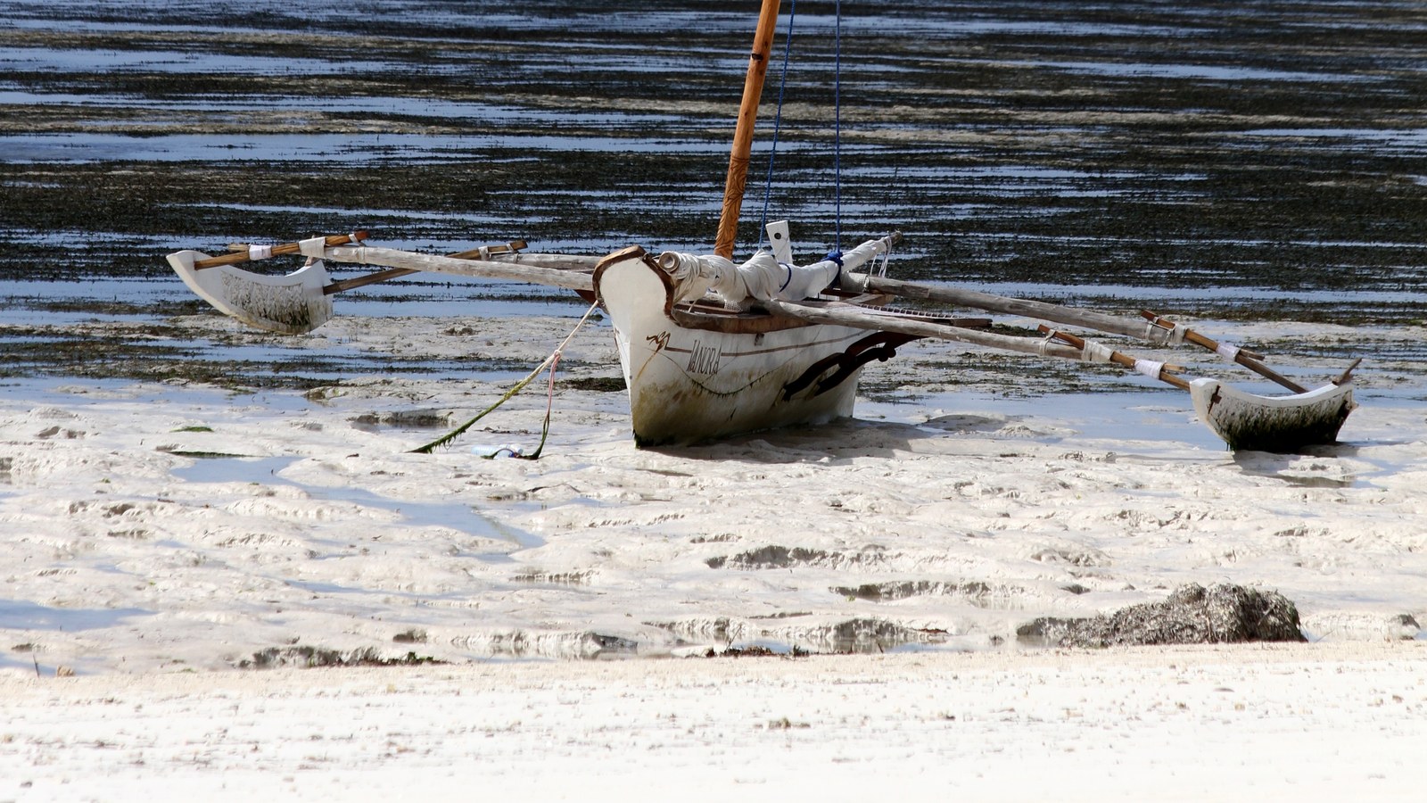 Najbolje ture Zanzibara koje možete dodati nakon Safarija ili Kilimanjara