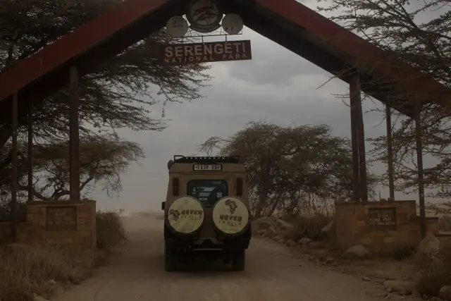 Best Time for Tanzania Safari