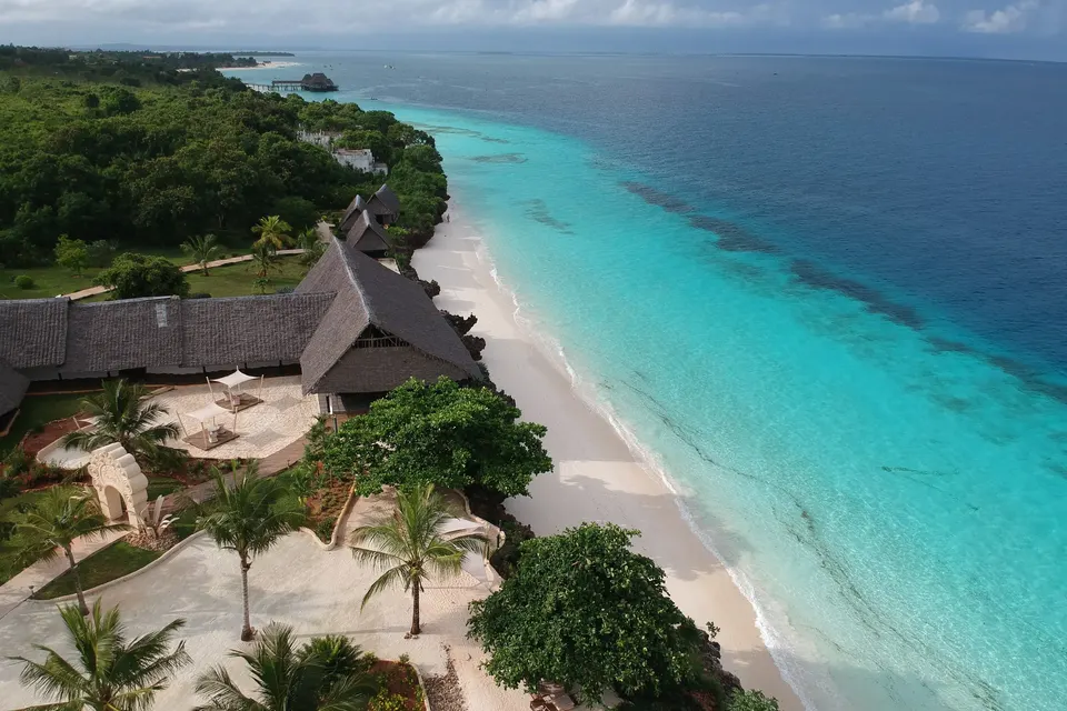 Pemba vs Zanzibar 潛水和潛水