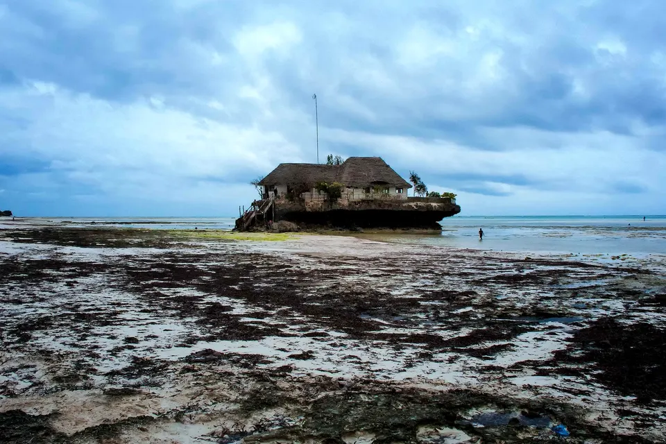 如何繞行Zanzibar:出租車、私人轉讓或租車