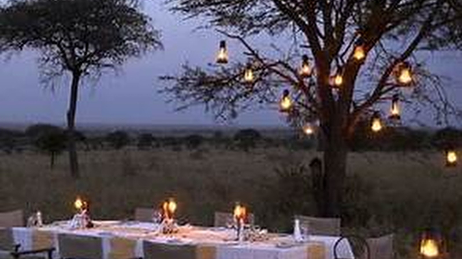 Bush Dining & Sundovner Ekperiences