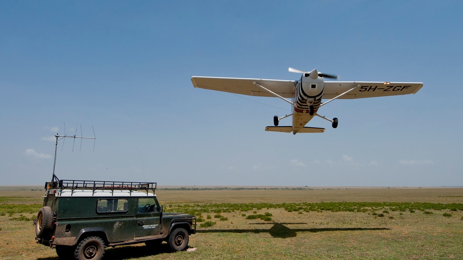 Drive In vs Fly In Safari Tanzanija
