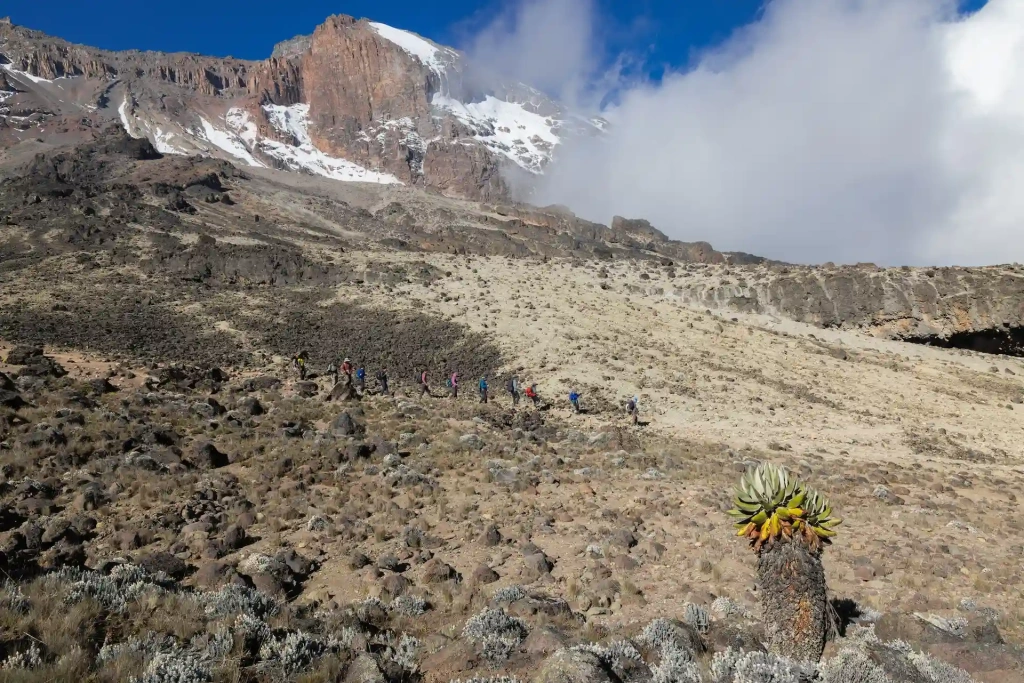 Kilimanjaro Alpine Desert
