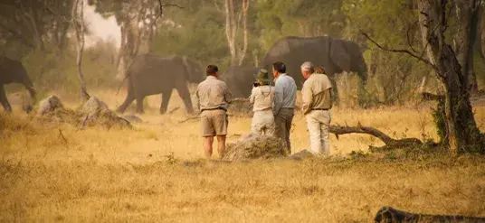 Tanzania 4 Days Luxury Family Safari Tour | Serengeti & Ngorongoro