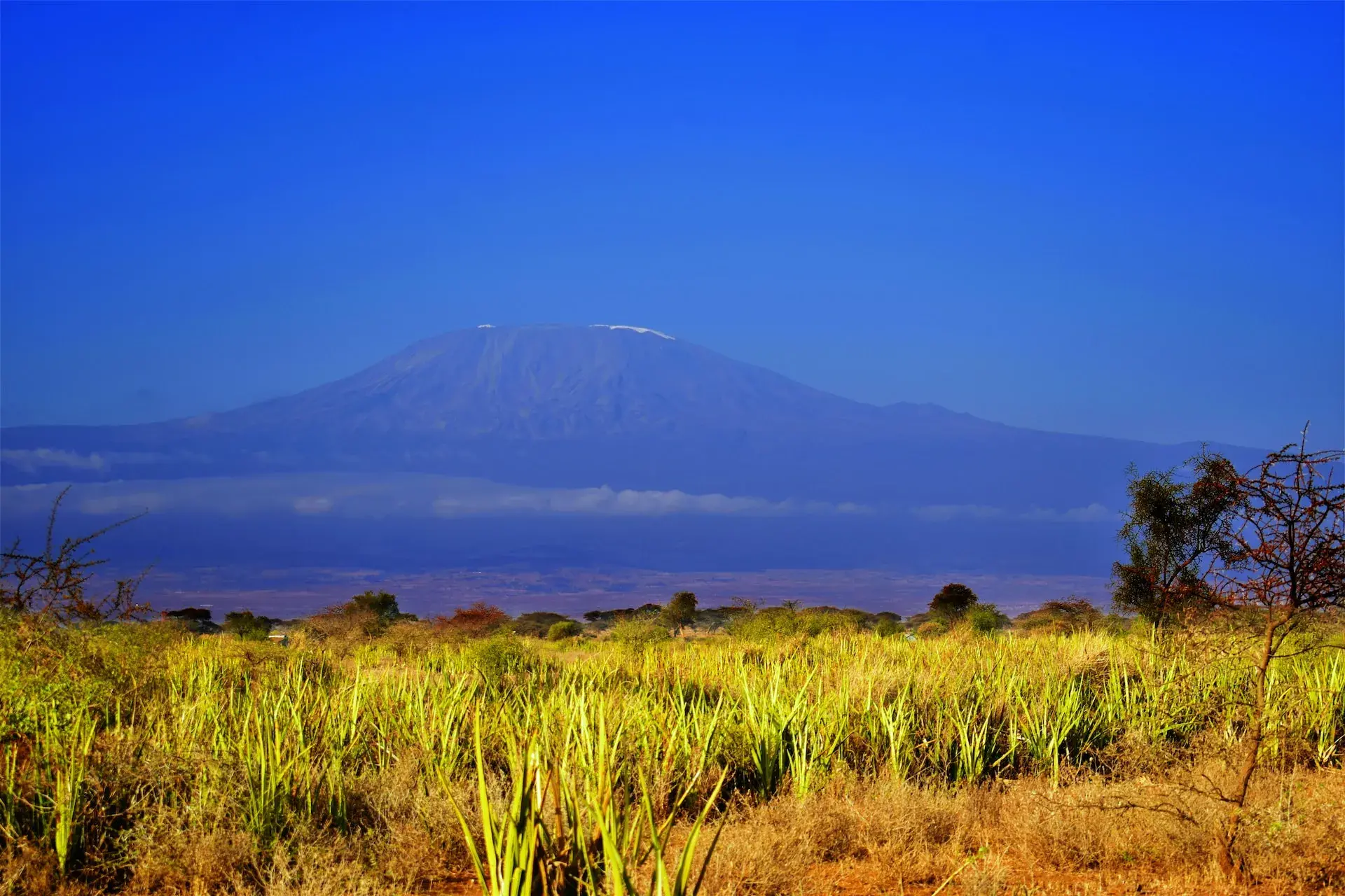 Best Time to Climb Kilimanjaro