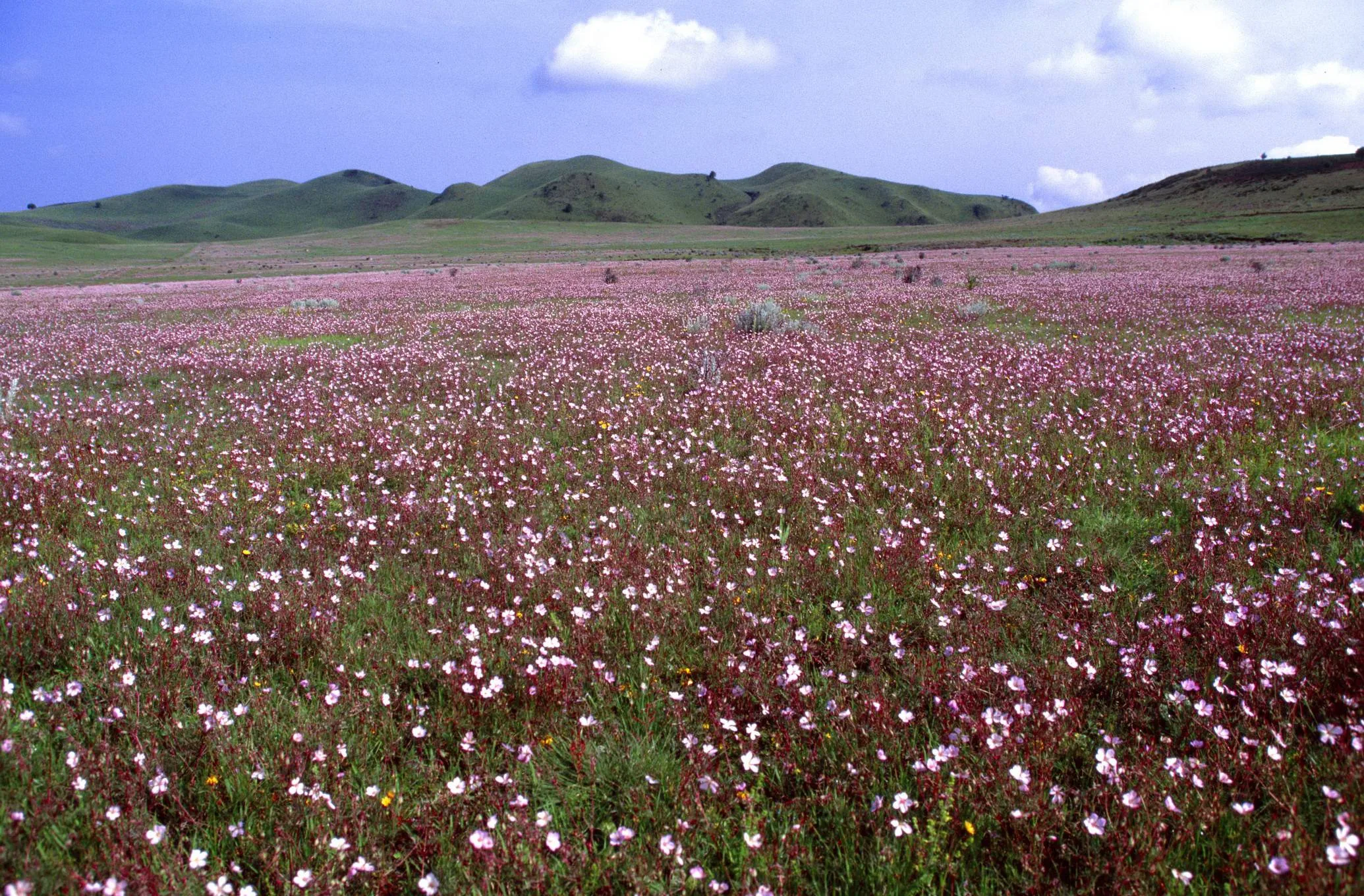 Kitulo National Park