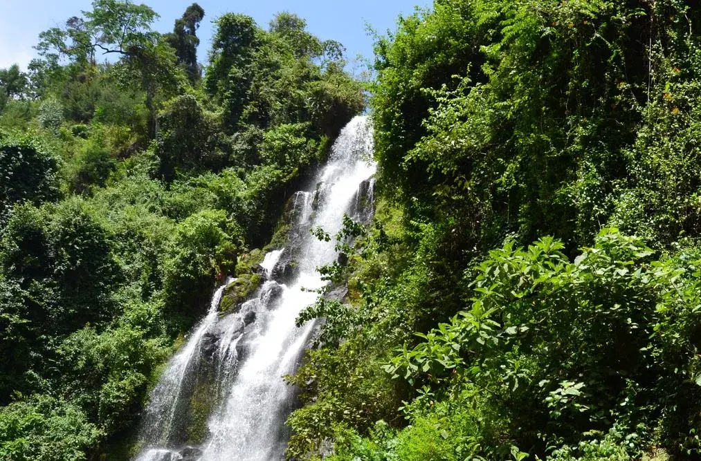 Kilimanjaro 旅行波蘭人:你真的需要嗎? 峯會的禮物?