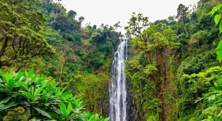 Moshi Day Trips