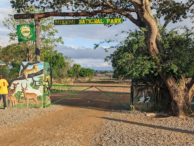 Ruaha National Park
