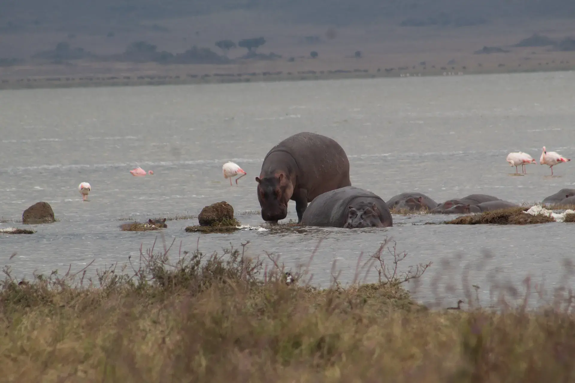 Lake Manyara