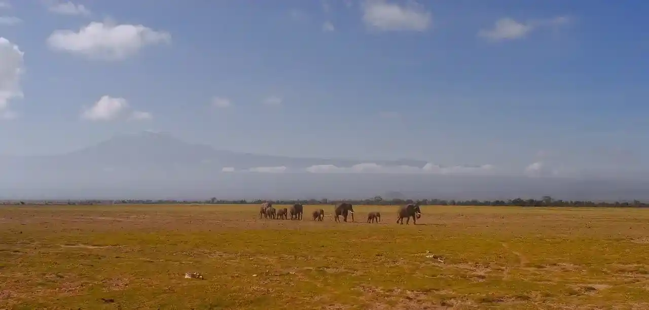 Tanzania 13 Days Premium Luxury Safari | Ngorongoro, Serengeti & Zanzibar