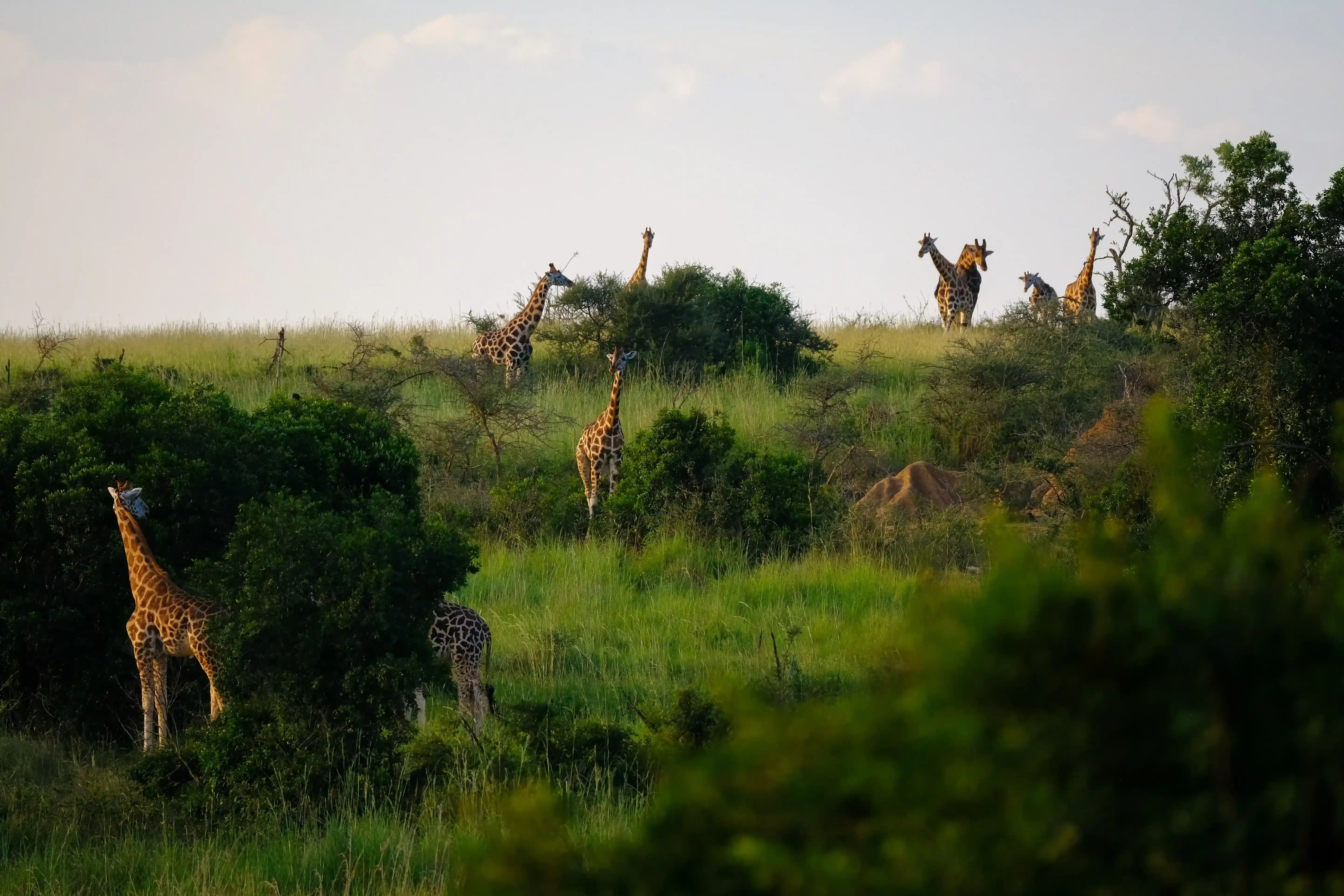 Lake Manyara