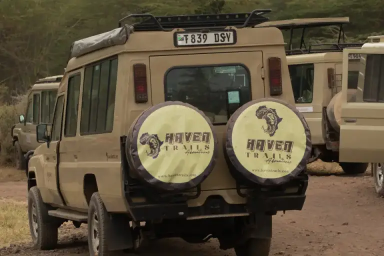 Serengeti 5-Day Safari