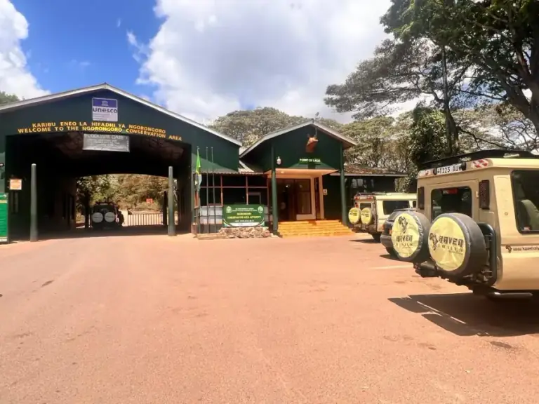 Ngorongoro Crater Safari