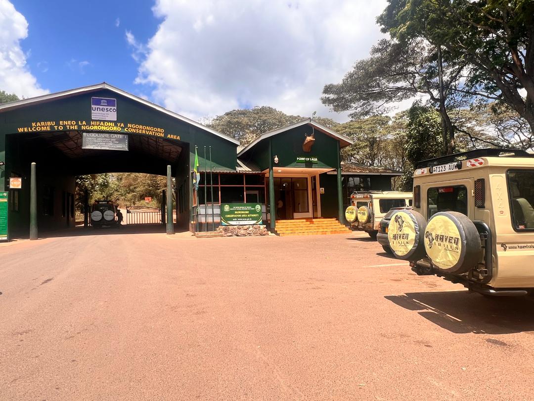 Ngorongoro Crater Guide