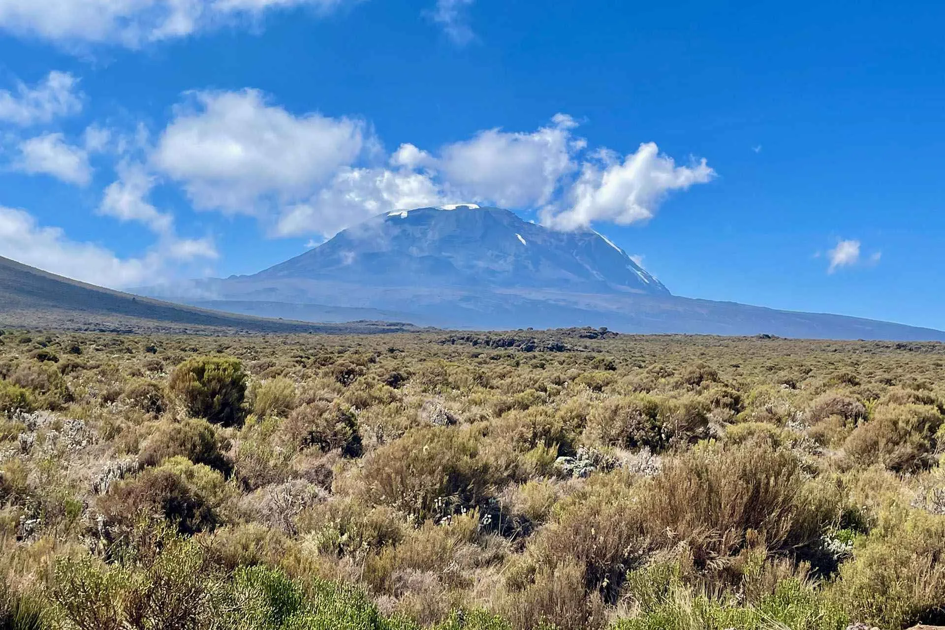 Kilimanjaro Shira Plateau