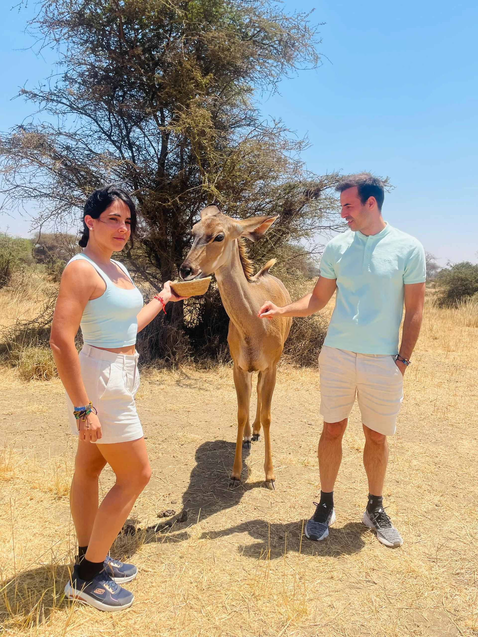 Iratxe's safari photos taken with Haven Trails Adventures Tanzania