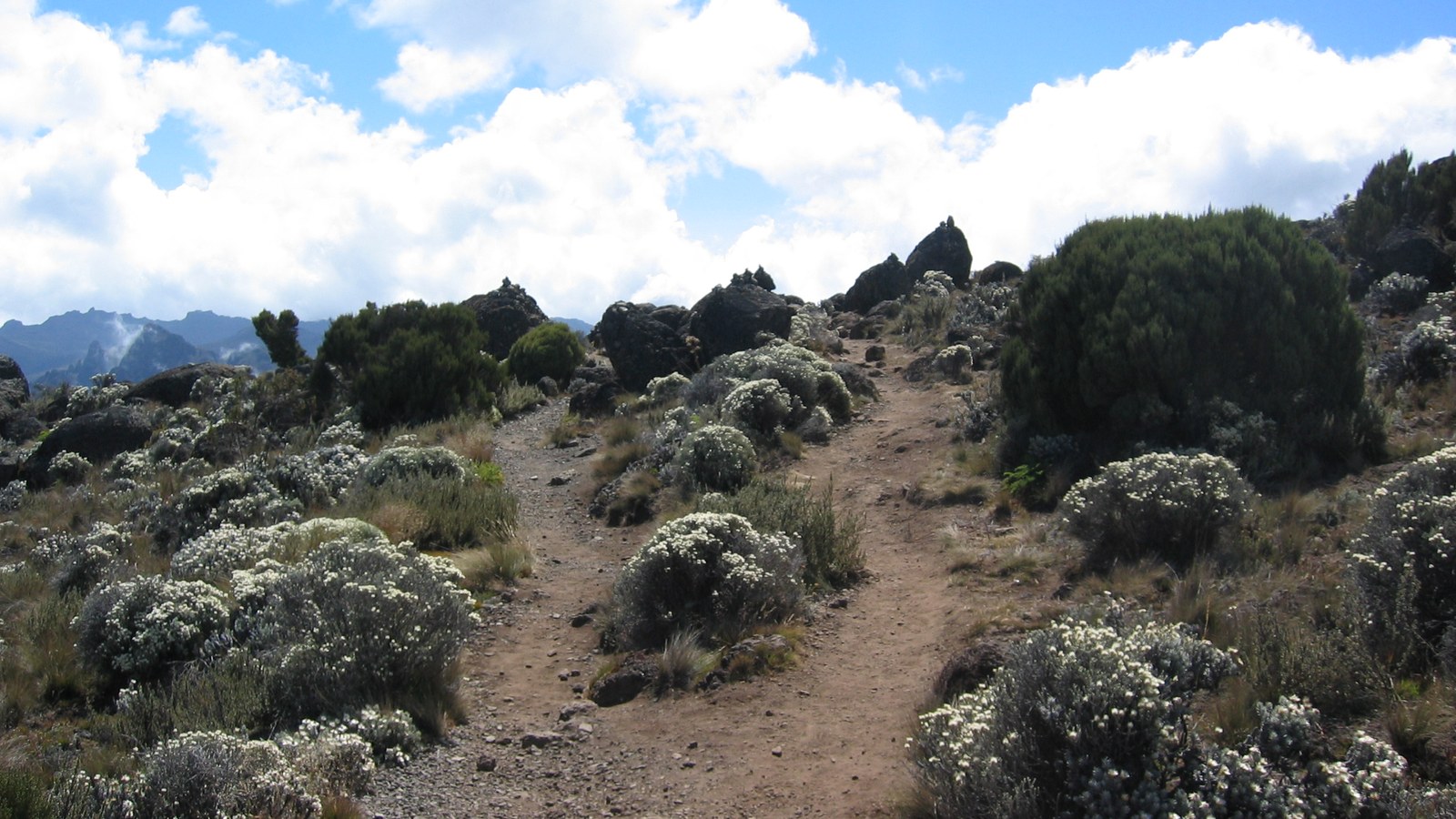 Lemosho vs Machame Route