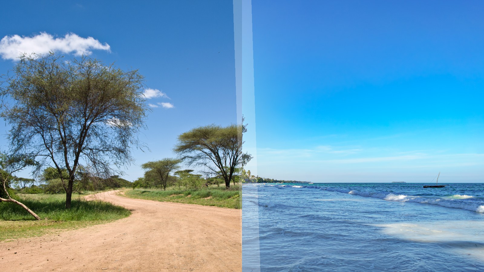 Prvo Safari ili Zanzibar
