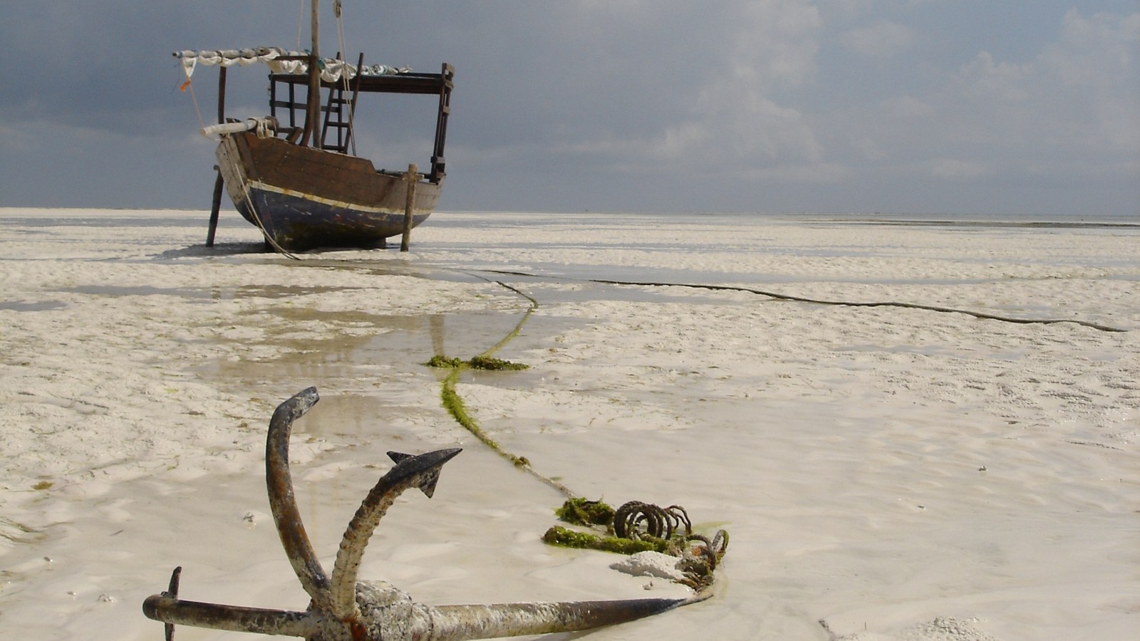 Ideje za plan puta za Tanzania Safari i Zanzibar