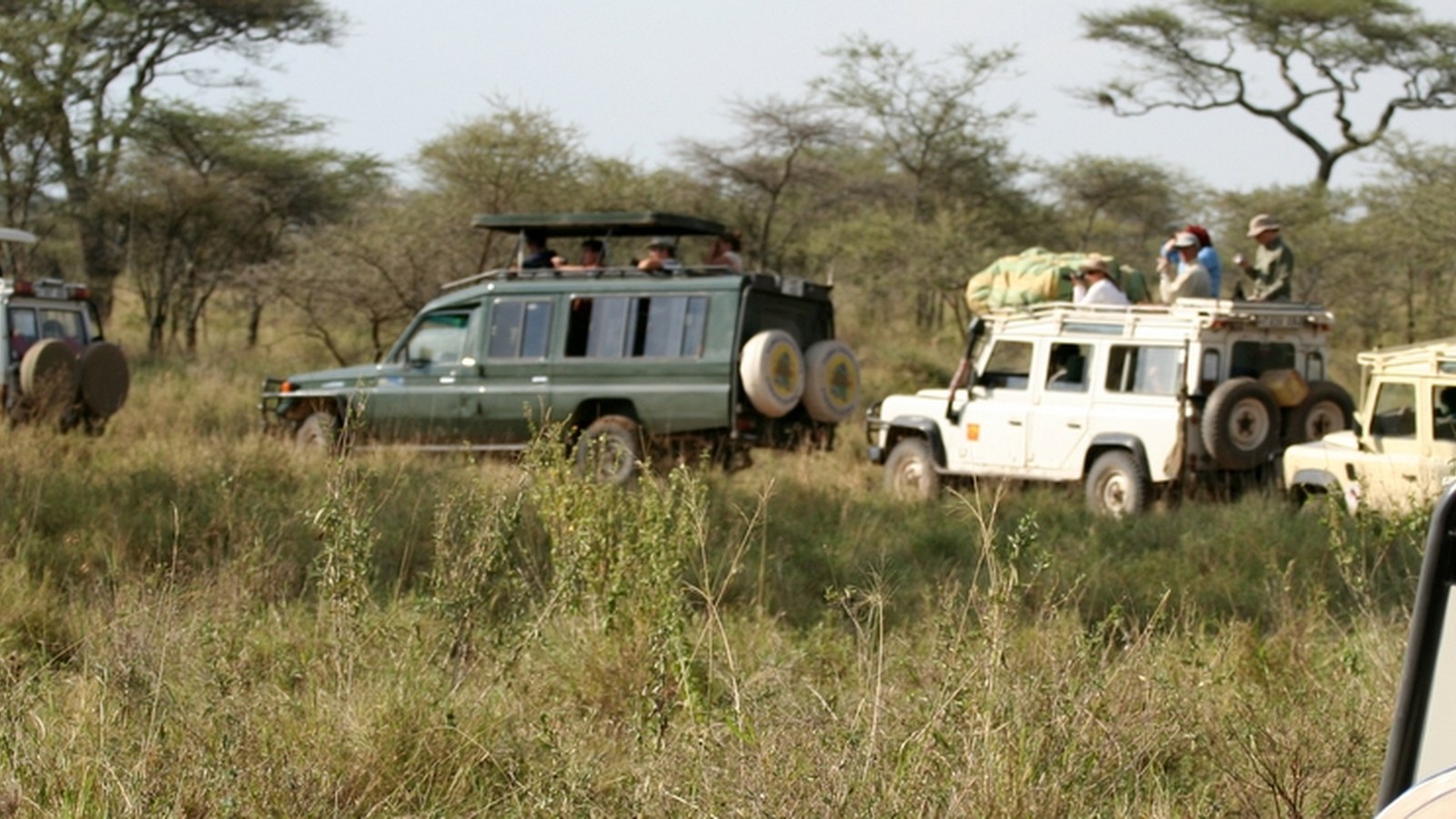 Vodič za fotografiranje safarija u Tanzaniji